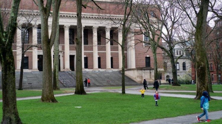 哈佛大學(xué)：已就美政府對國際學(xué)生的禁令提起訴訟