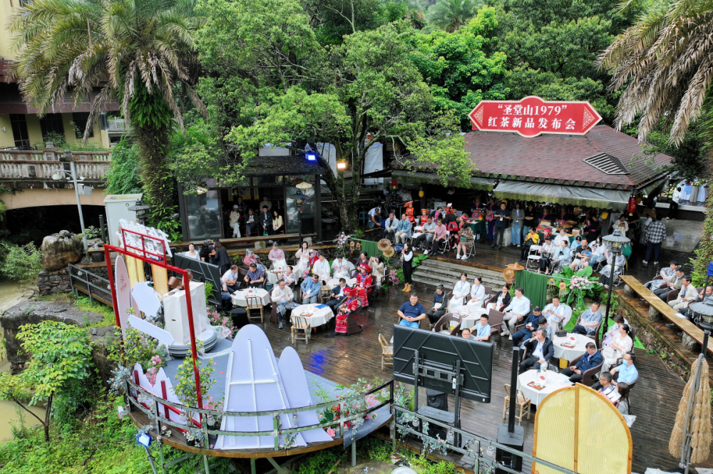 金秀「聖堂山1979」紅茶品牌發(fā)布 茶旅融合助力鄉(xiāng)村振興
