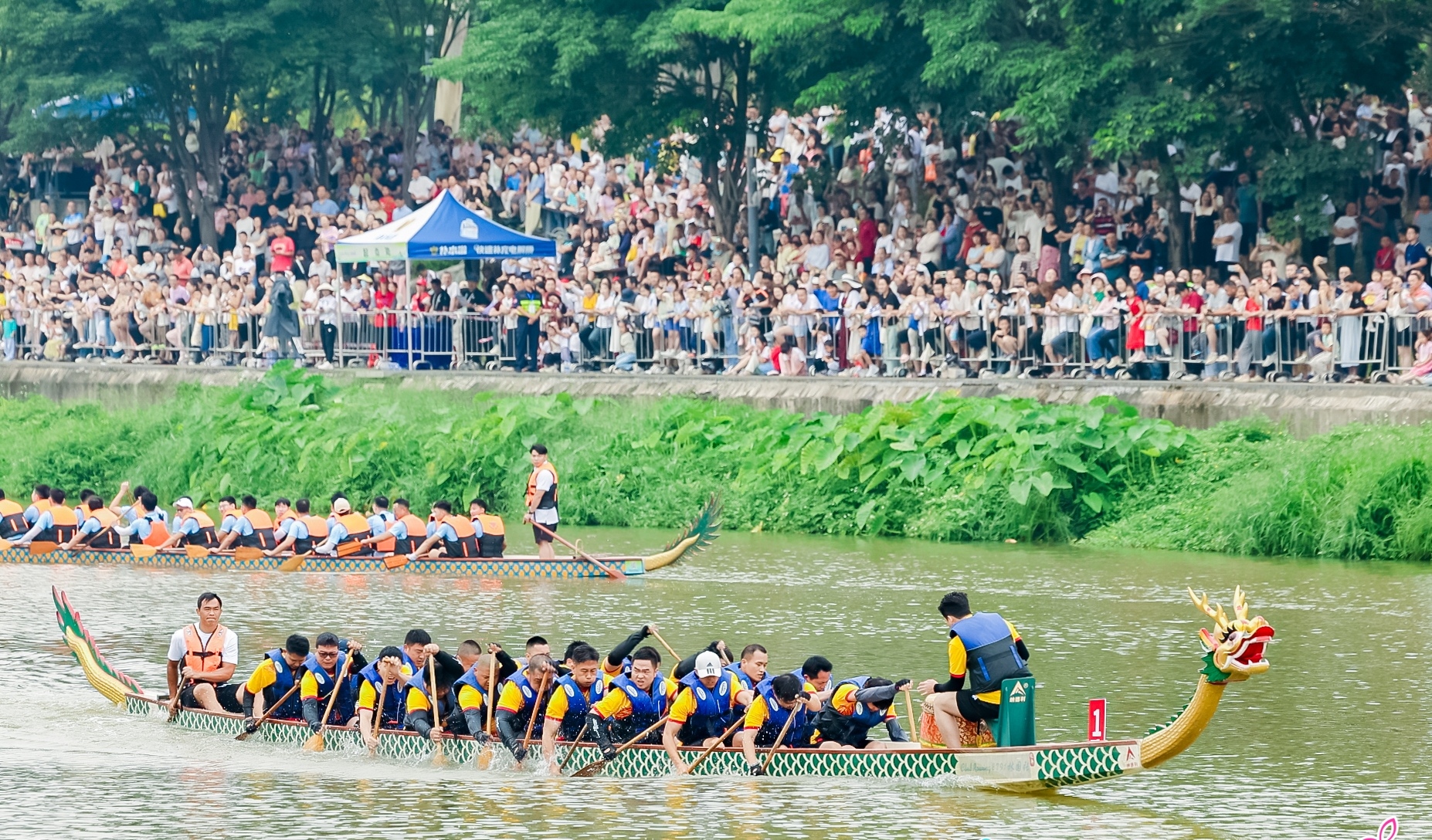 深圳光明區(qū)社區(qū)龍舟賽獲勝者出爐