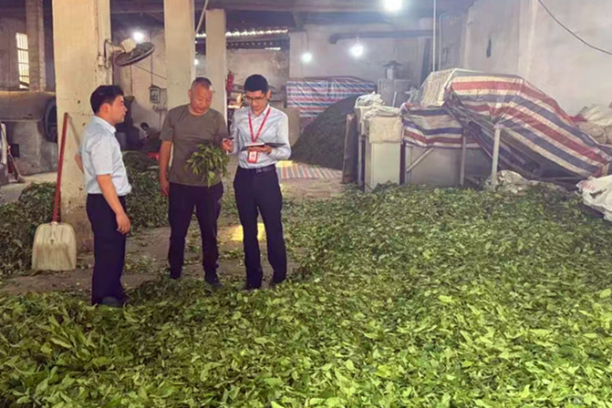 「手機(jī)一點(diǎn)，貸款就到賬」  皖休寧「興農(nóng)e貸」助「茶箬生金」