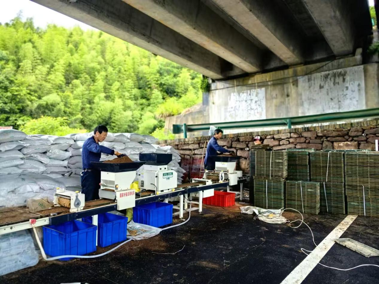 皖黟縣漁亭鎮(zhèn)：智慧農(nóng)機(jī)提質(zhì)增效  科技賦能增產(chǎn)增收