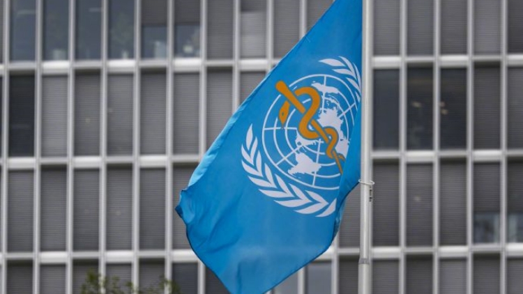 巴勒斯坦在世衛(wèi)獲懸掛國旗權(quán)利