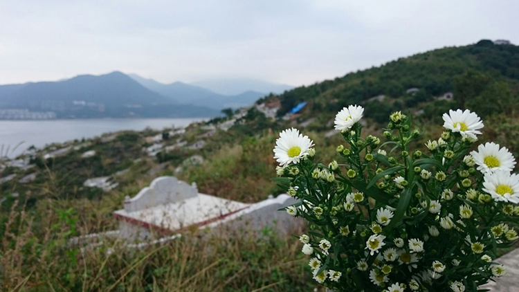 政府對山邊非法殯葬採取聯(lián)合行動 移除19個非法墳?zāi)够蚪鹚? title=