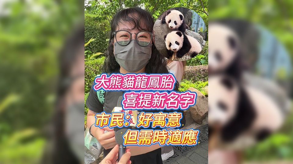 有片丨大熊貓龍鳳胎喜提新名字 市民：好寓意 但需時(shí)適應(yīng)