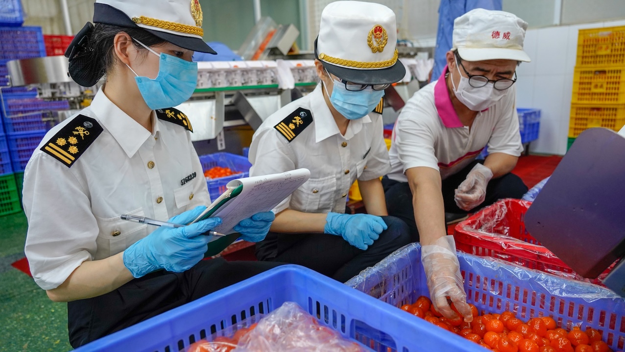 端午近 海外粽香濃 廣州海關(guān)助逾150噸應(yīng)節(jié)食品保「鮮」出口