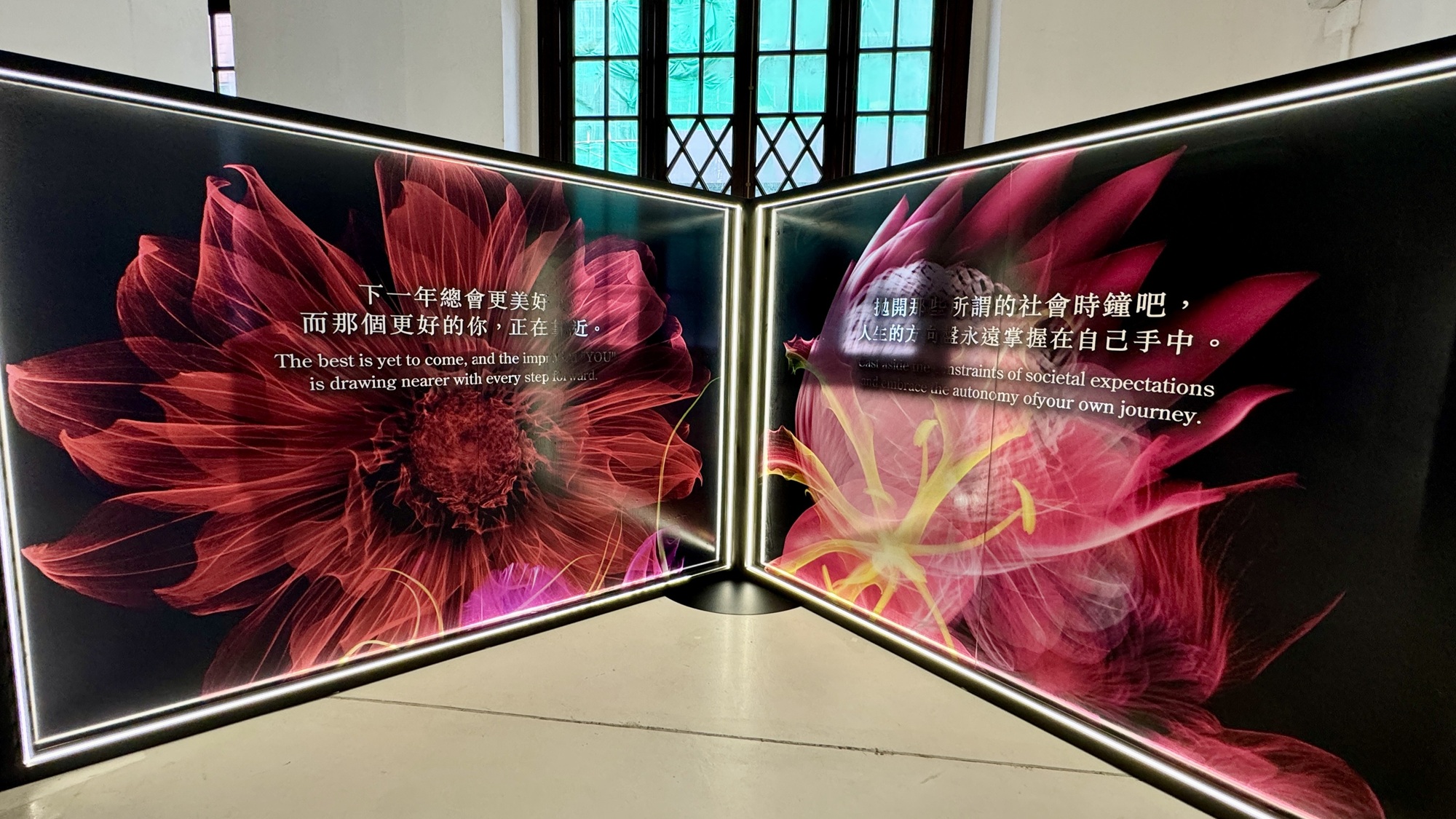 【美容】花卉互動藝術(shù)展 自製繁花圖案