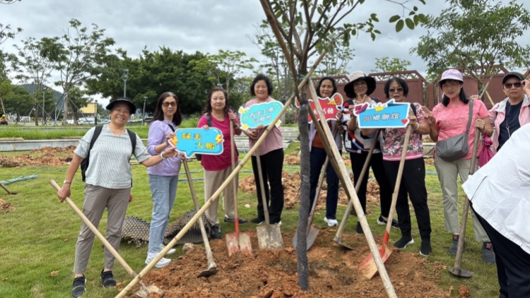 紫雲(yún)漫道連深港?同心龍舟載鄉(xiāng)情?香港大鵬同鄉(xiāng)會(huì)綠美行動(dòng)續(xù)寫家國情懷