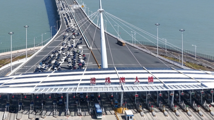 港珠澳大橋口岸外貿(mào)呈強勁態(tài)勢