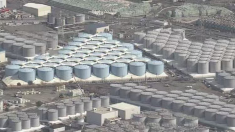 外交部回應(yīng)日本水產(chǎn)品進(jìn)口問題