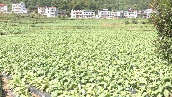 邵陽(yáng)：沃野如畫唱新歌