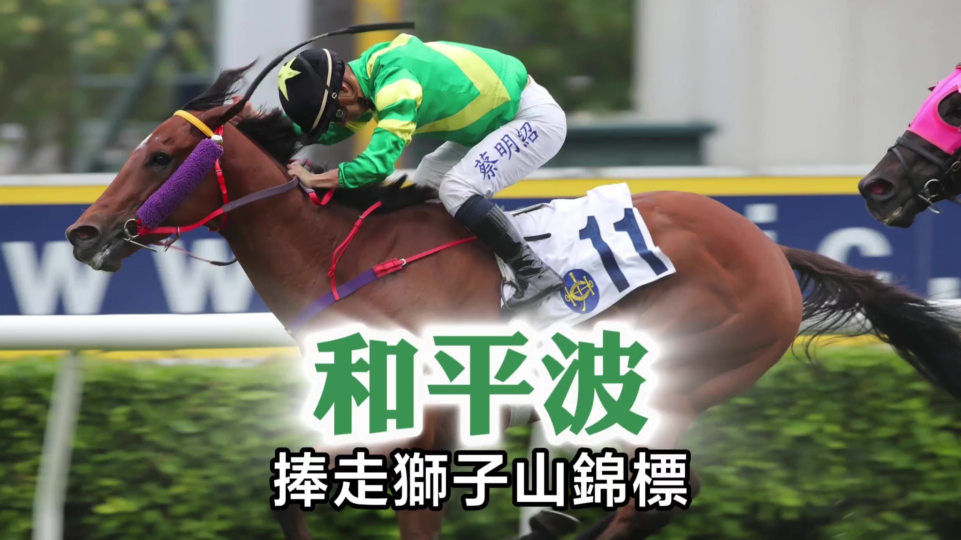 有片｜和平波捧走獅子山錦標(biāo) 巫偉傑打開分級賽勝門