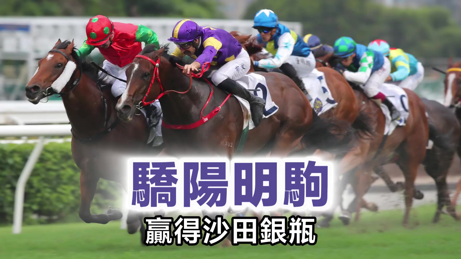有片｜「驕陽明駒」勇奪沙田銀瓶 蔡約翰：終能達(dá)成任務(wù)