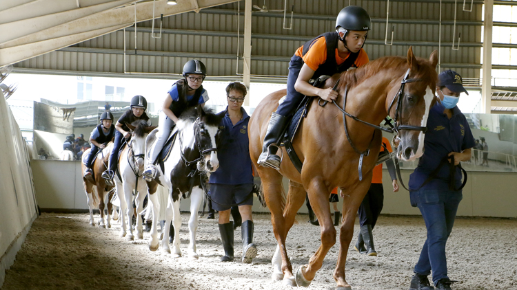 馬會招攬專業(yè)人才 邀年輕人成為爲賽事見習學員