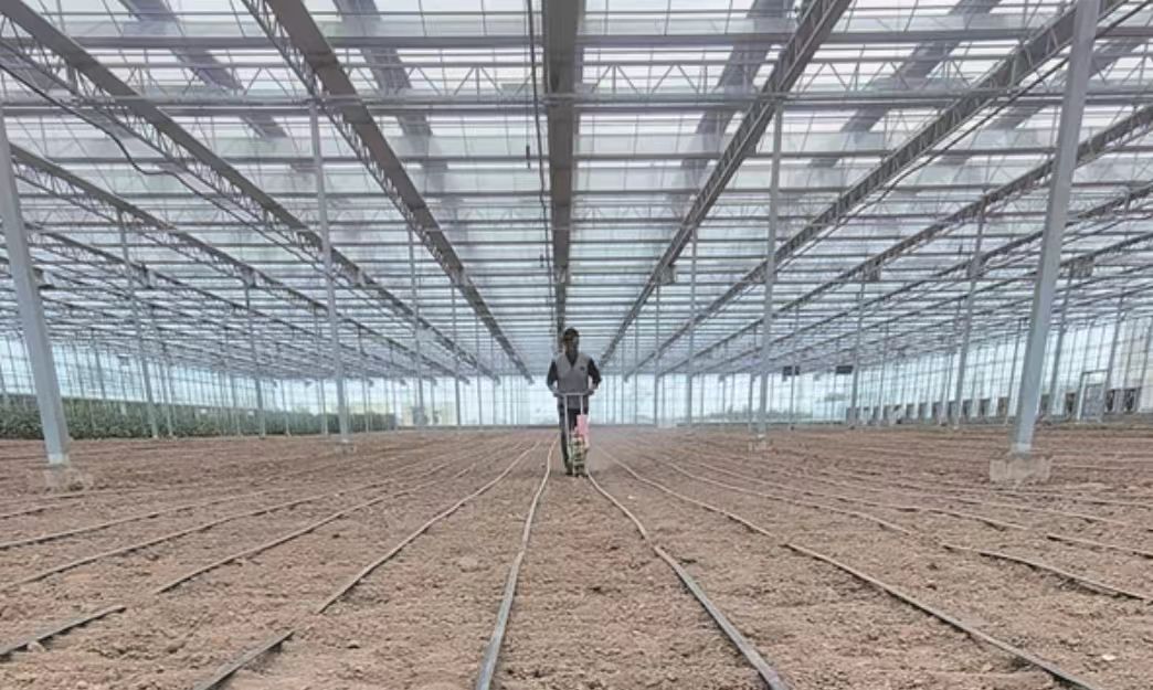 南北接力育種提速！航天種子落地山西晉中