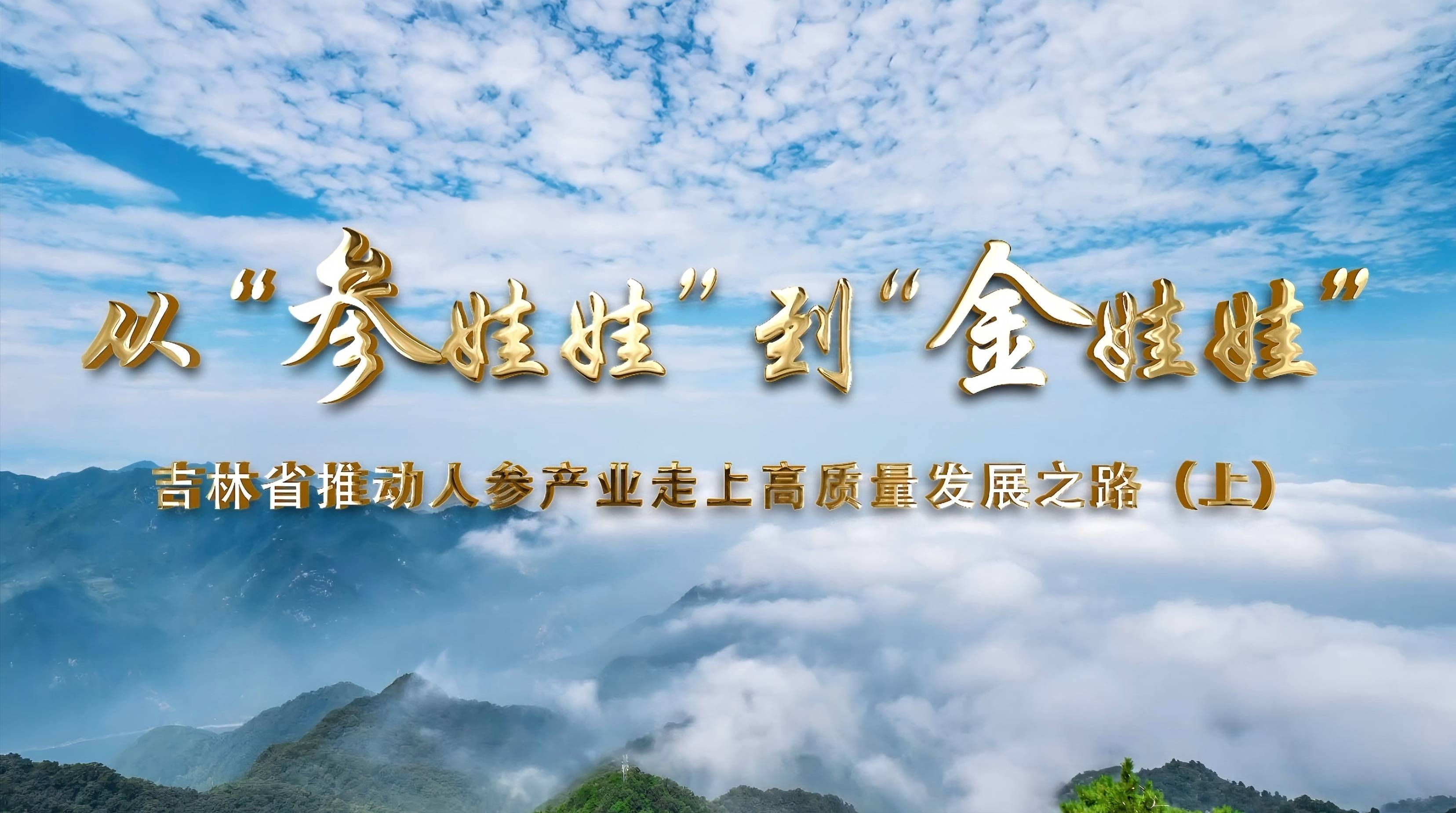 吉林省推動(dòng)人參產(chǎn)業(yè)走上高質(zhì)量發(fā)展之路（上）