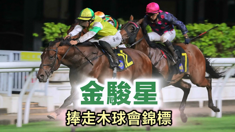 有片 | 閘前票數(shù)排山倒海 金駿星捧走木球會錦標
