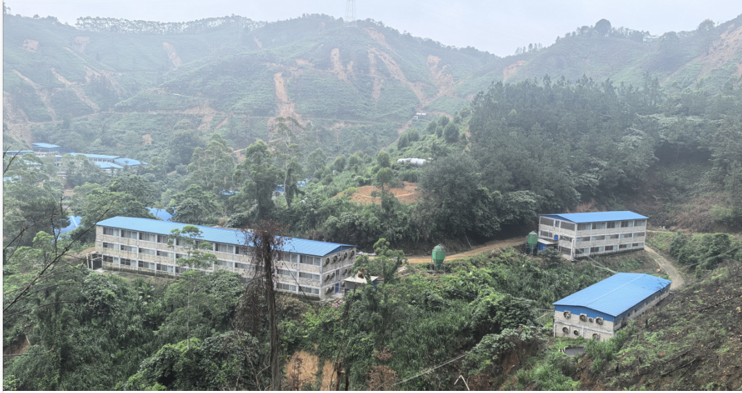 桂陸川豬全產(chǎn)業(yè)鏈模式：從地方名豬到全國(guó)品牌的跨越