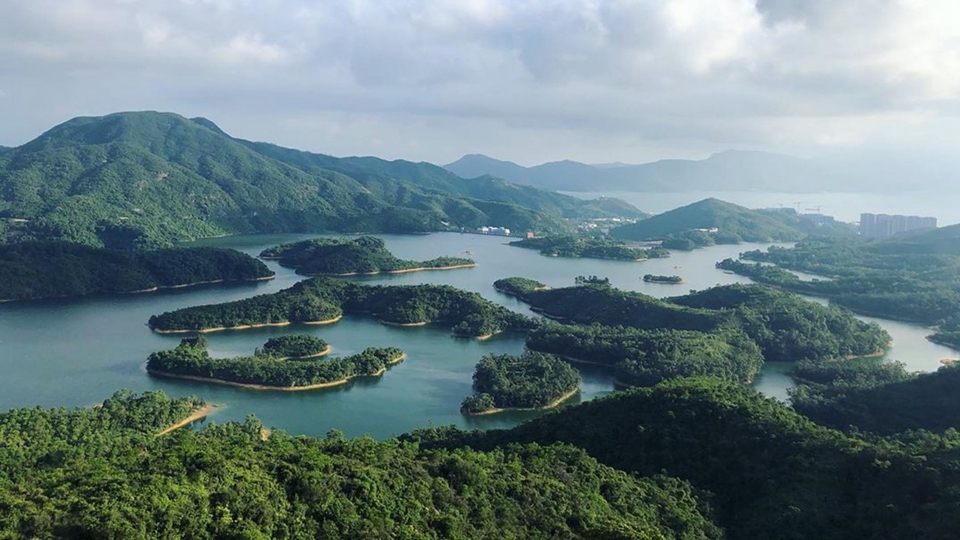 2026年六五環(huán)境日國(guó)家主場(chǎng)活動(dòng)將由粵港澳合辦 推動(dòng)美麗灣區(qū)建設(shè)