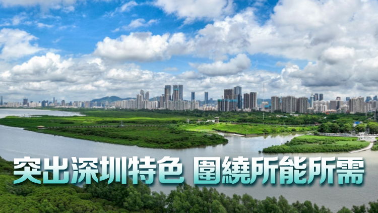 深圳推出三十九條措施提振消費