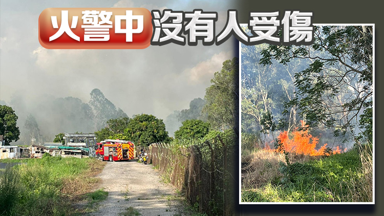 元朗南生圍草原起火燒逾13小時 消防通宵撲熄