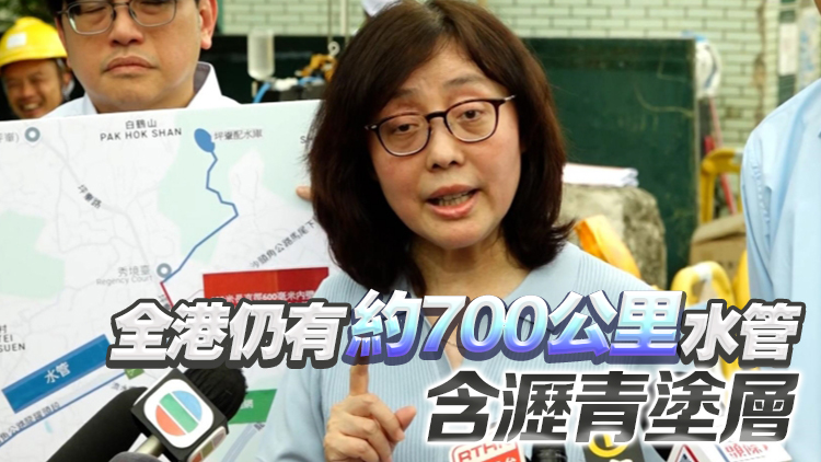 甯漢豪：今年內(nèi)開展工程更換皇后山邨有瀝青塗層喉管