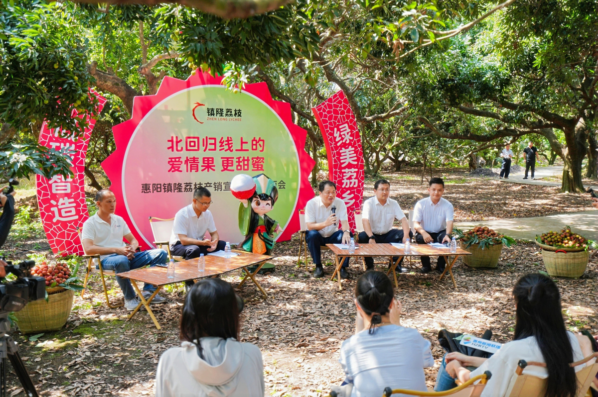 有片︱撬動產(chǎn)業(yè)「接二連三」融合發(fā)展 惠州惠陽鎮(zhèn)隆荔枝「賣全球」