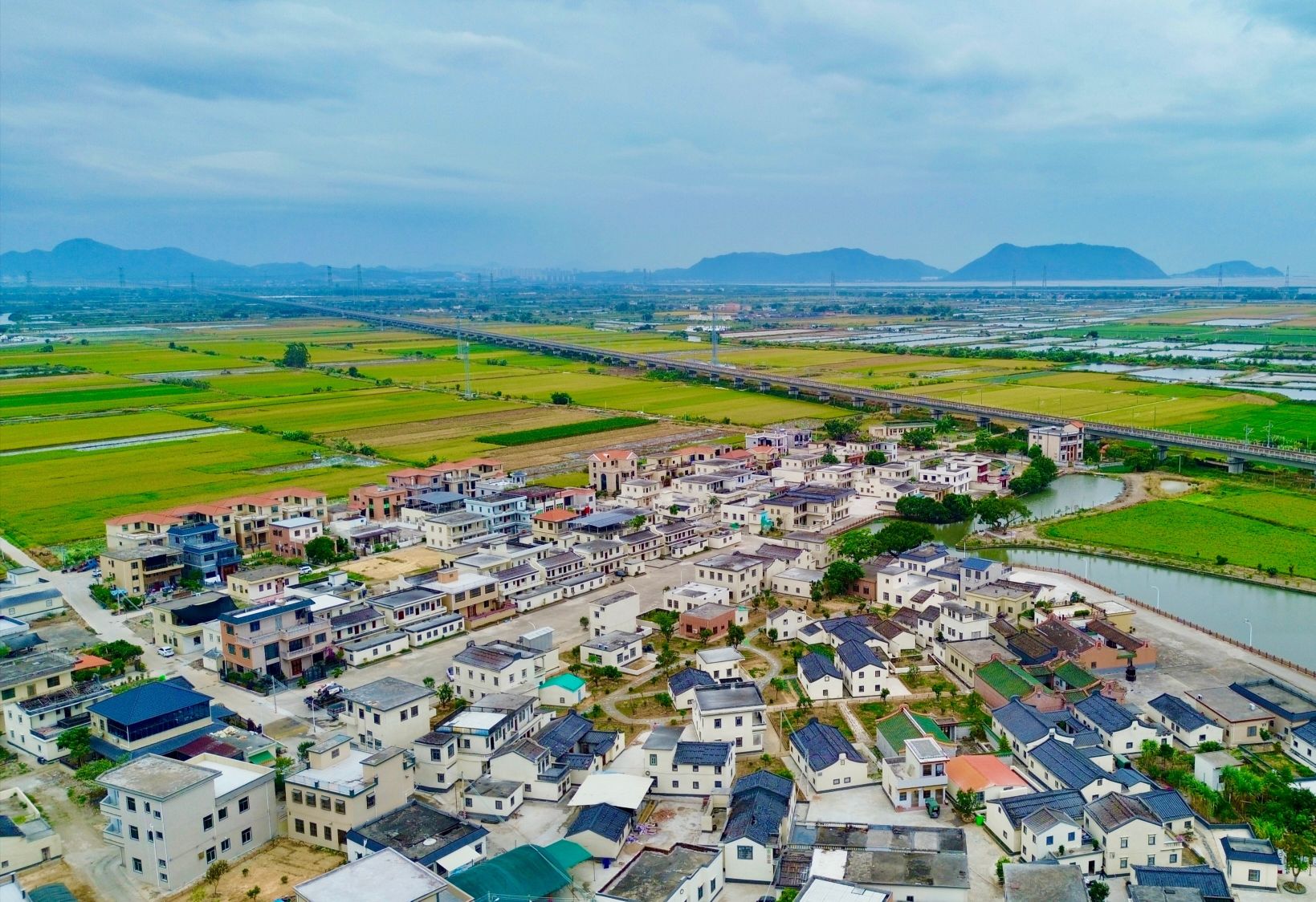 汕尾首推「強(qiáng)村公司+鄉(xiāng)村工匠」新模式   城鄉(xiāng)風(fēng)貌提「質(zhì)」增「顏」