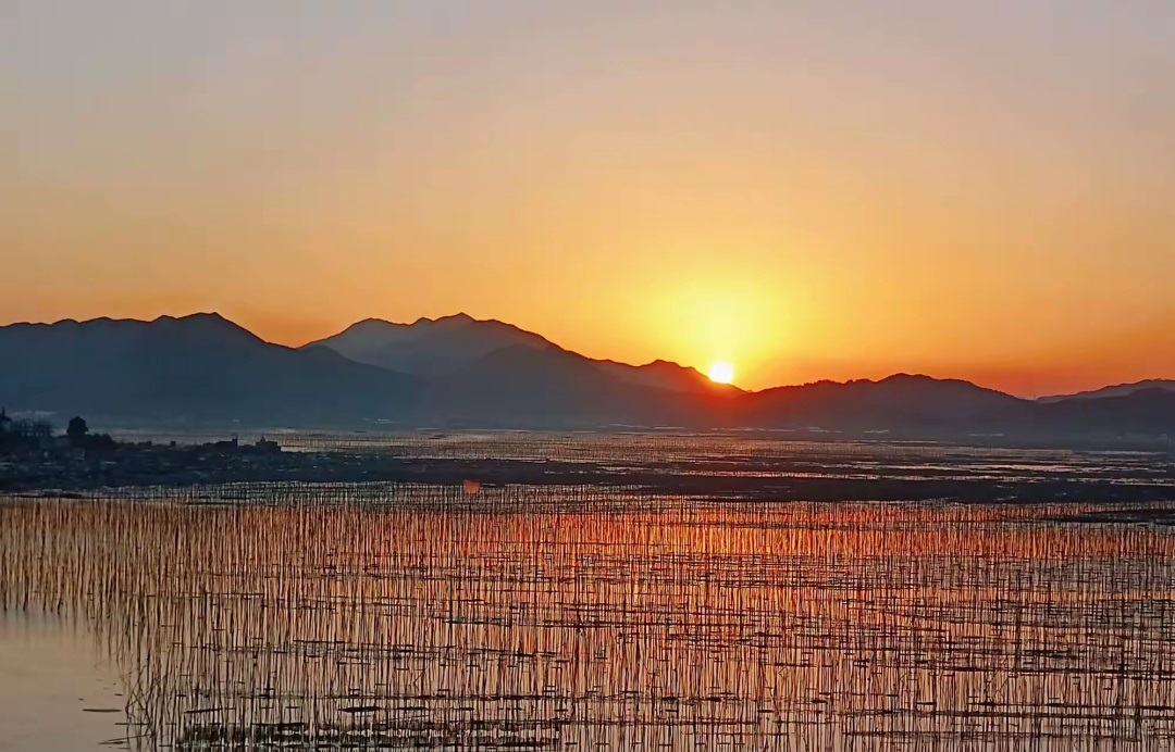 【長在隨筆】你的笑容，留在我的記憶里