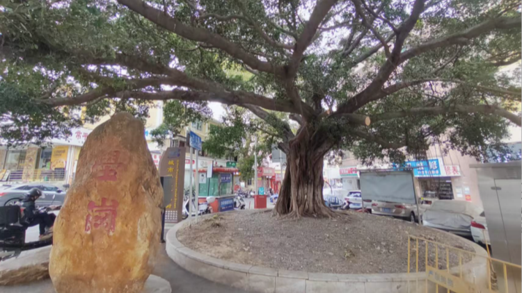 港深地名故事｜深圳?寶安沙井地理志：壆崗