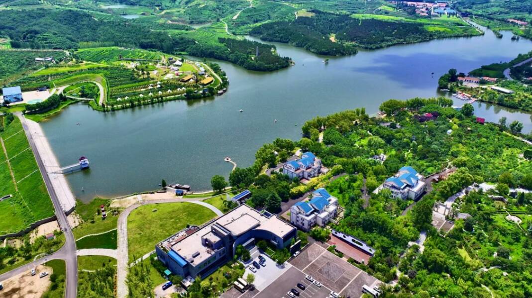 山東「桃花島」藝術(shù)活化鄉(xiāng)村緣何被日本友人推介？