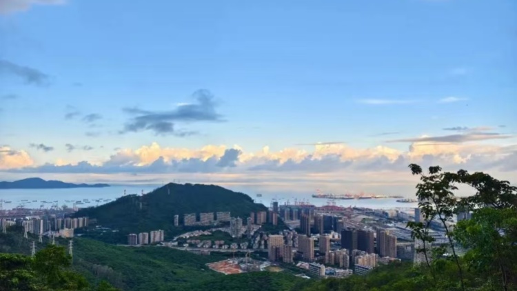 南山區(qū)第八屆大學生社會創(chuàng)新項目大賽啟動報名