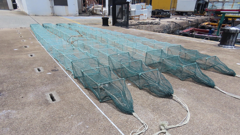 一艘本地漁船涉非法使用蛇籠捕魚(yú) 船長(zhǎng)及6名內(nèi)地漁工接受調(diào)查