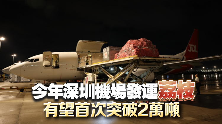 「荔枝專線」助力嶺南荔枝「鮮」達全國