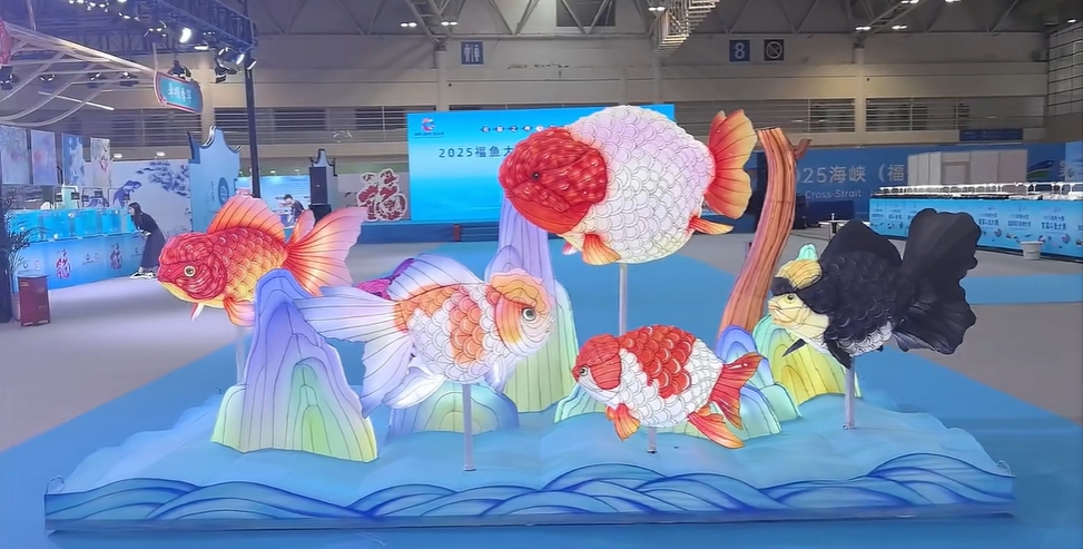 2025福魚大賽之金魚大賽圓滿落幕