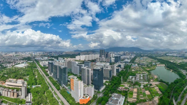 深圳以清朗網(wǎng)絡(luò)生態(tài)助力打造一流營商環(huán)境