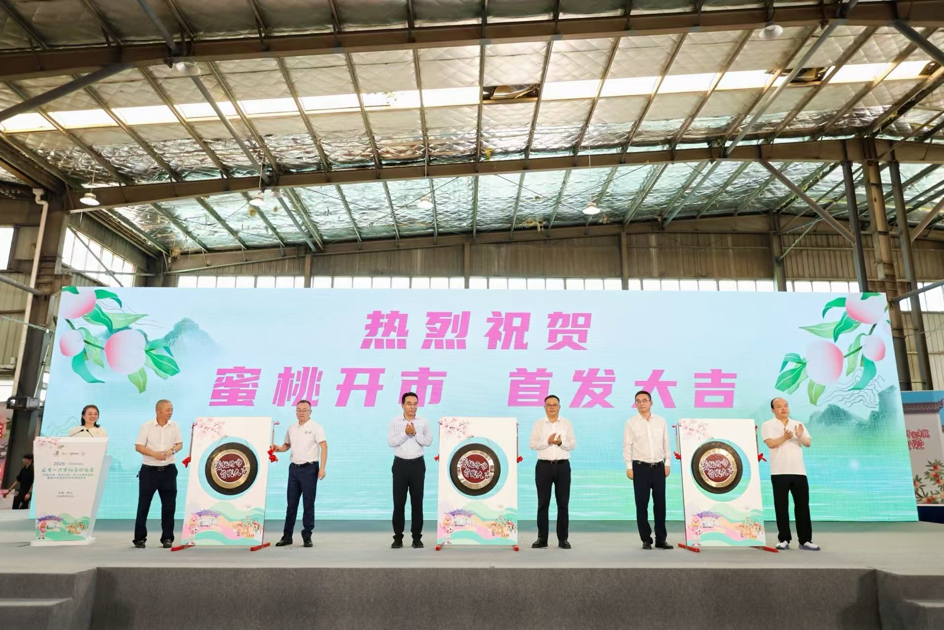 陽山水蜜桃今夏首發(fā) 出口提質(zhì)增效