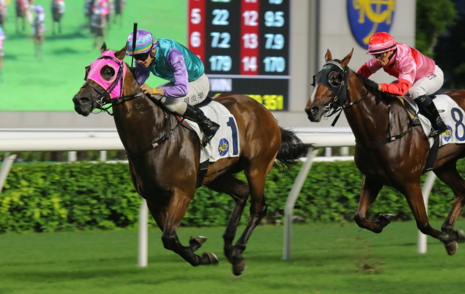 有片 | 哈羅威捧走香港大學(xué)校友會挑戰(zhàn)盃