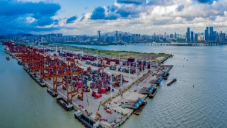 大鏟灣口岸前5月出口鋰電儲(chǔ)能櫃同比增819%