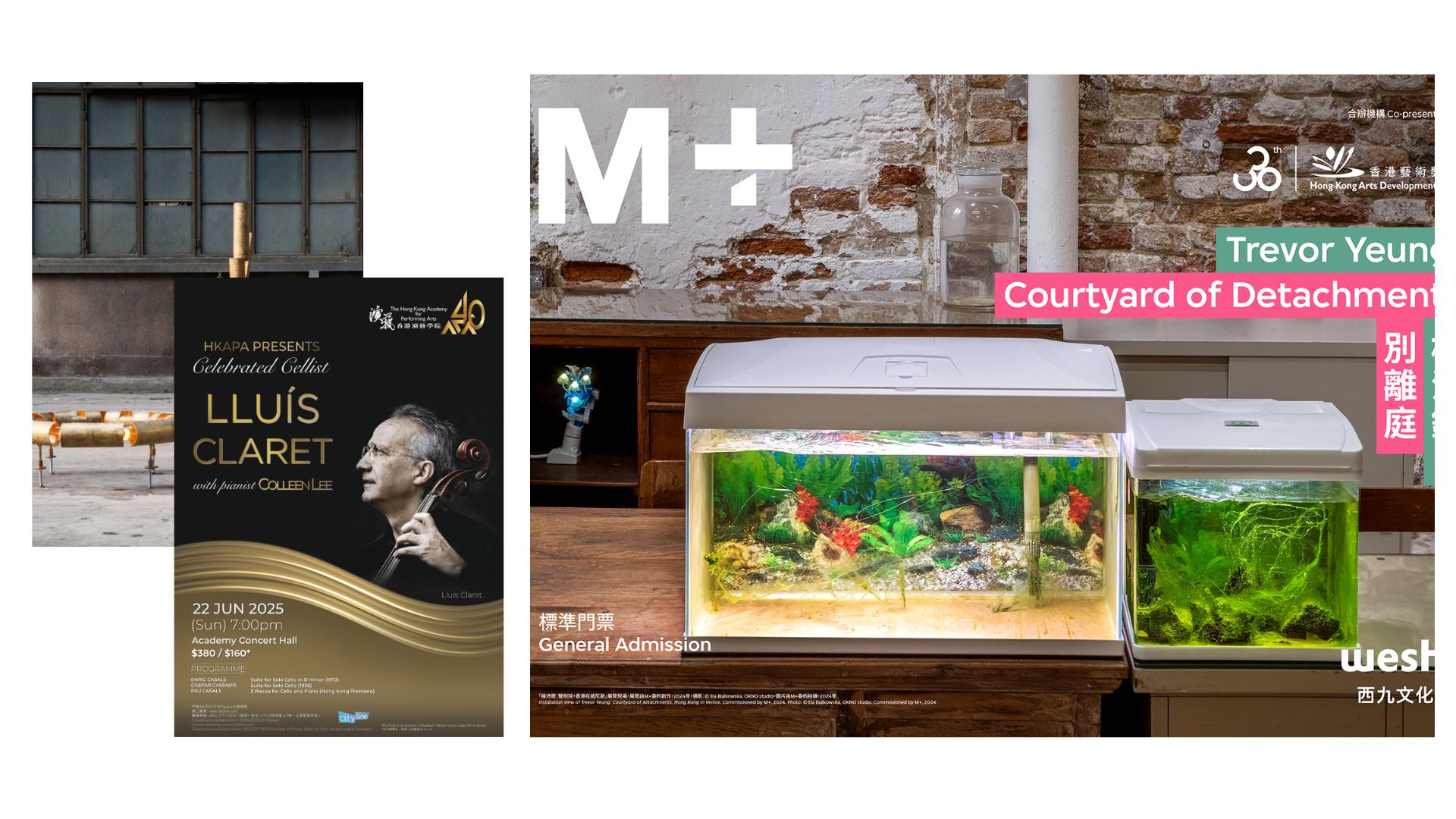 有片 | M+再現(xiàn)楊沛鏗威尼斯雙年展藝術(shù)裝置【一周港藝】香港文化藝術(shù)活動一周菜單（16/6-22/6）