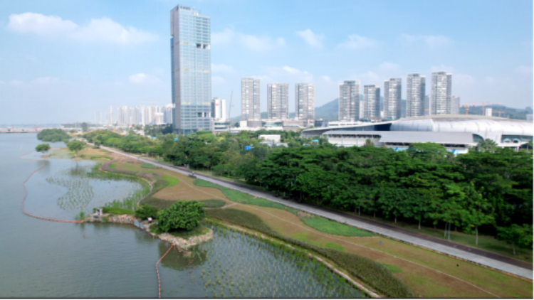 廣東深入推進(jìn)全域土地綜合整治 今年46個(gè)實(shí)施方案已獲省級(jí)批覆