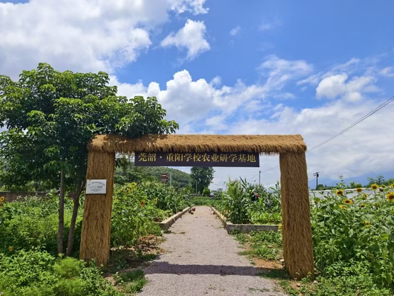 粵北校園荒地變身  師生共建「成長樂園」