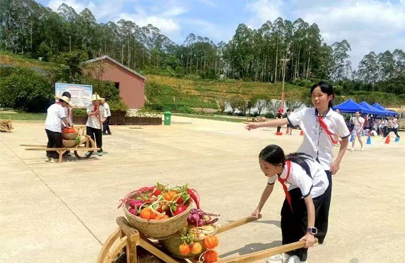 桂梧州鳳翔小學(xué)開展農(nóng)耕生存智慧探索之旅