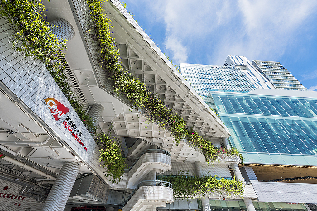 港城大續(xù)列QS世界大學(xué)百強  論文引用率全球第二