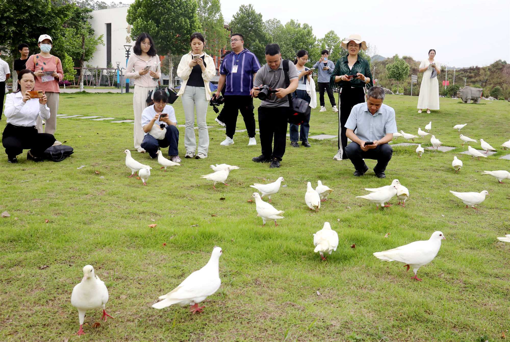 桂賀州平桂區(qū)打造「觀鳥(niǎo)+」生態(tài)旅遊新引擎
