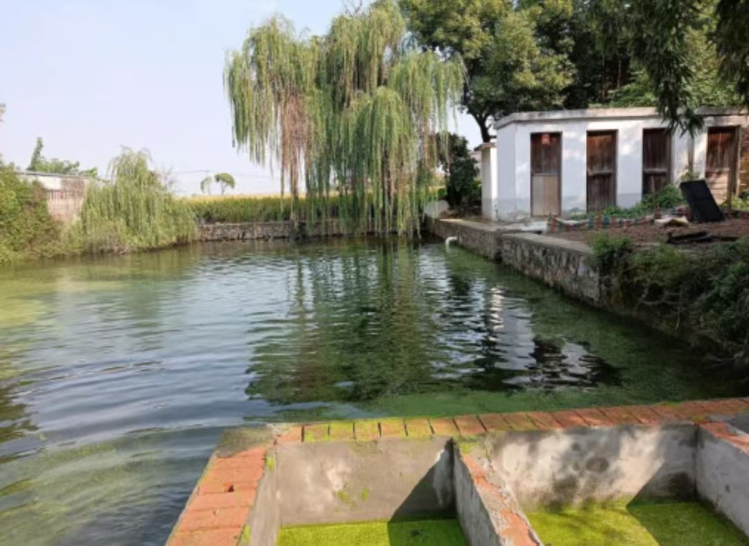 皖蕪湖鳩江區(qū)沈巷鎮(zhèn)：「黑臭河」變身「幸福渠」