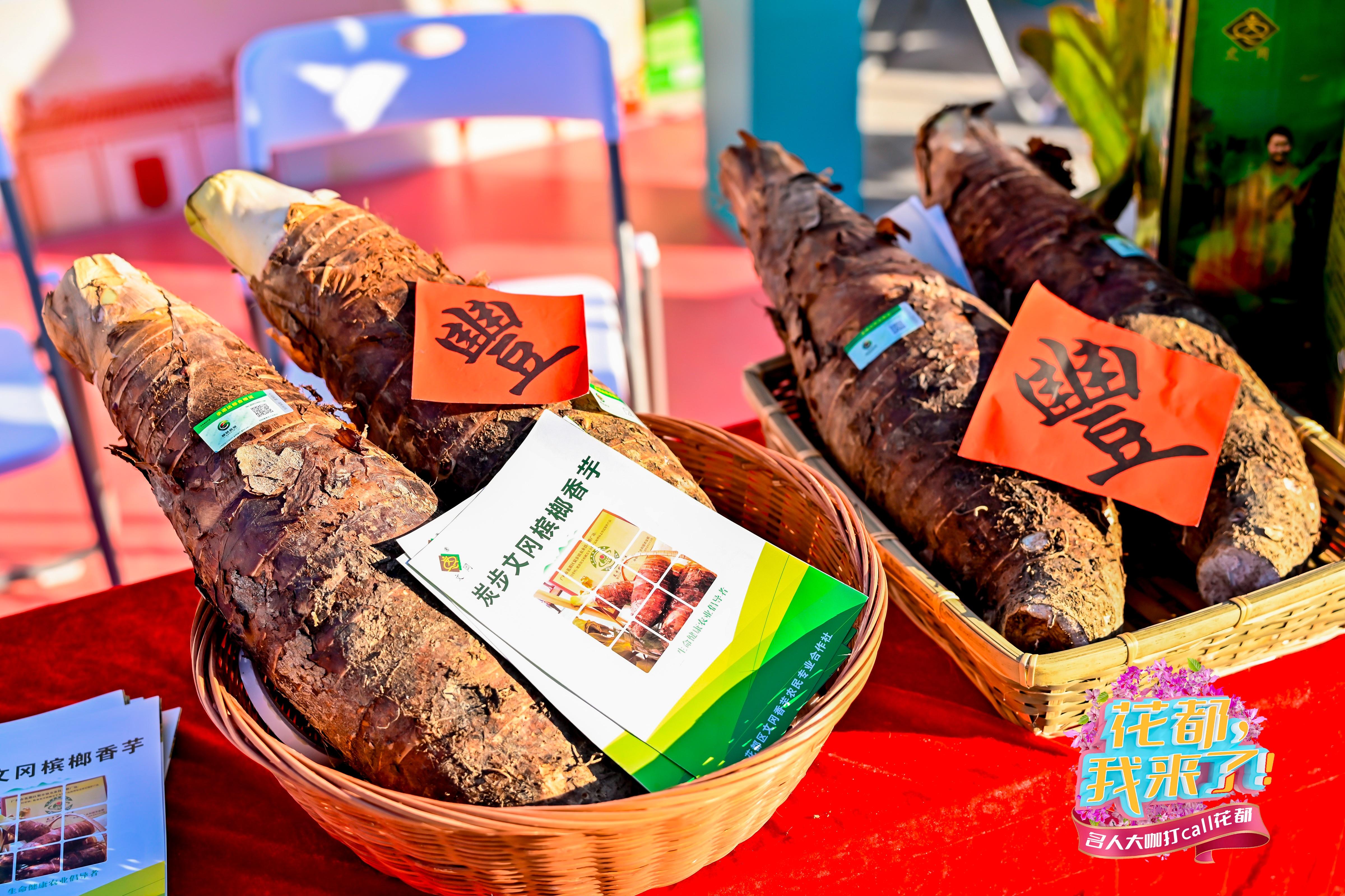 國(guó)字號(hào)認(rèn)證+1！廣州花都「炭步檳榔香芋」香飄全國(guó)