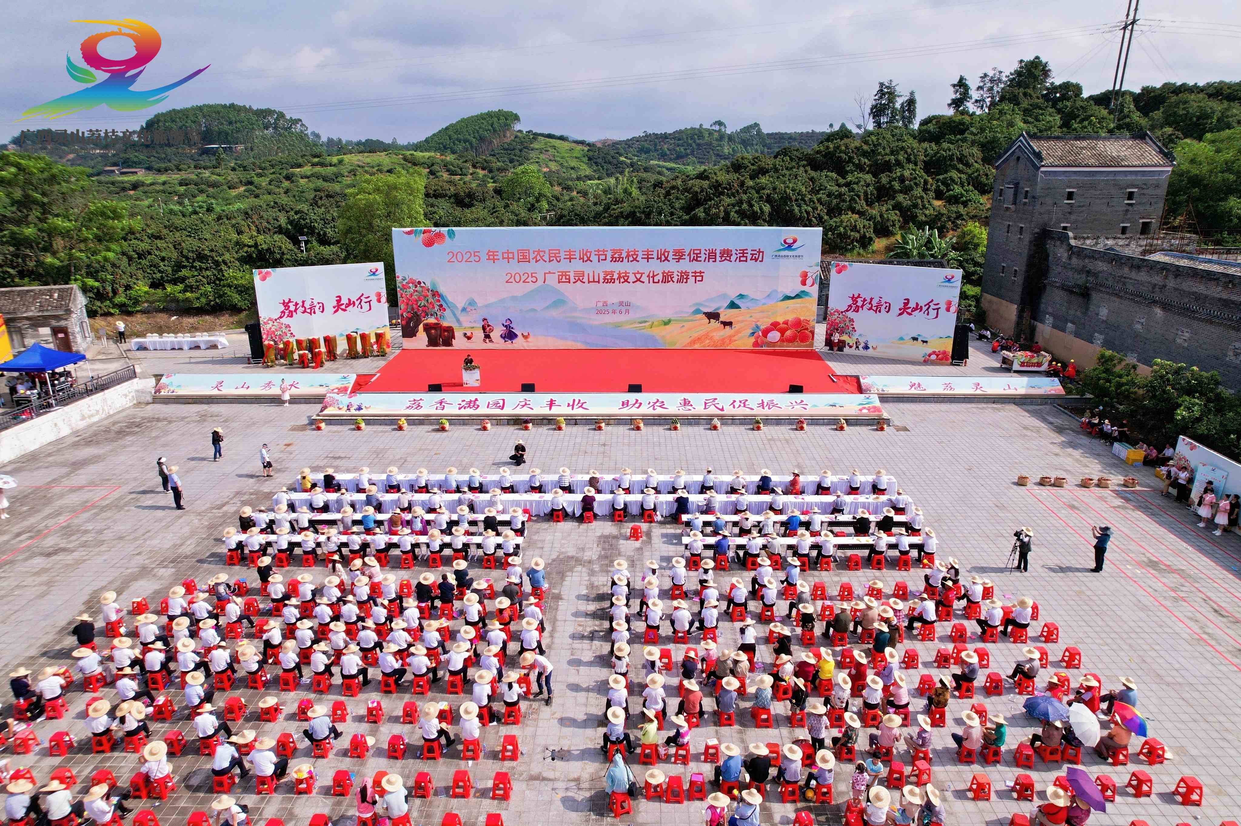 桂味荔枝熱銷全國 靈山豐收節(jié)簽約逾6500萬