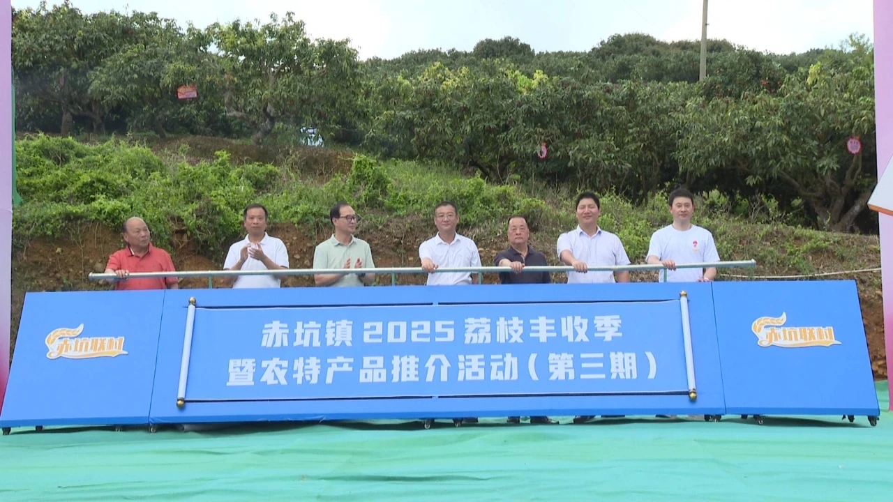 汕尾海豐赤坑鎮(zhèn)舉辦2025荔枝豐收季暨農(nóng)特產(chǎn)品推介活動(dòng)