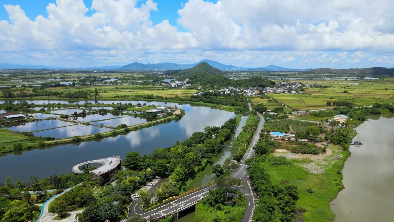 汕尾海豐附城鎮(zhèn)新山村：打造「紅色」「綠色」「古色」社會(huì)主義新農(nóng)村
