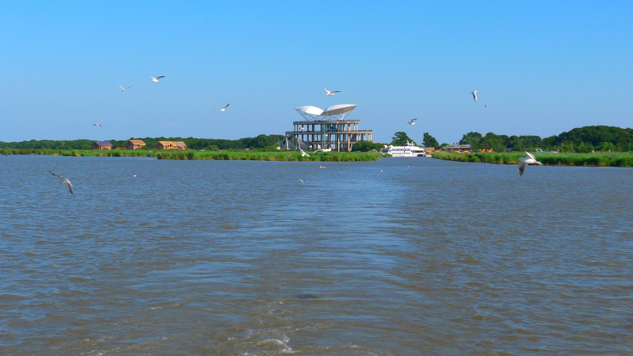 黑龍江雞西市今夏避暑旅遊特色線路+430萬消費券 邀客共享清涼夏日
